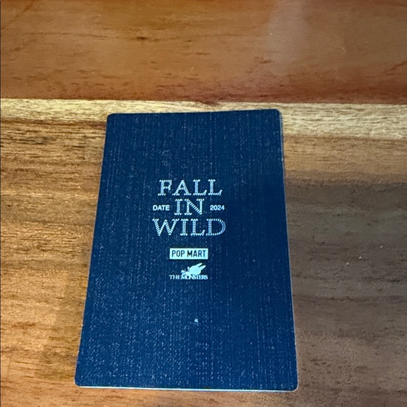 Pop Mart Fall In Wild Labubu - Picture 4 of 4